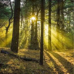 影音先锋欧美亚洲国产熟女
